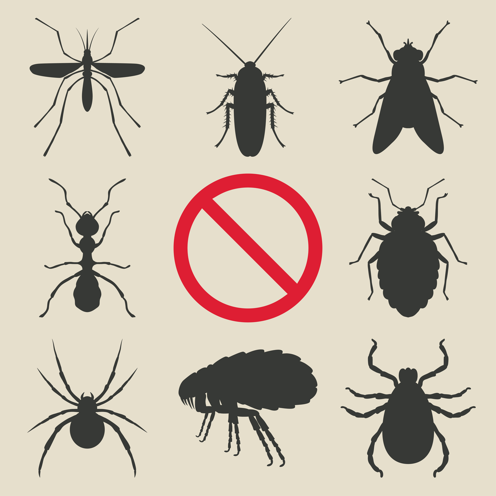 Nine black insect silhouettes surround a red prohibition sign, indicating pests like mosquito, cockroach, fly, ant, louse, spider, flea, and tick are not allowed.
